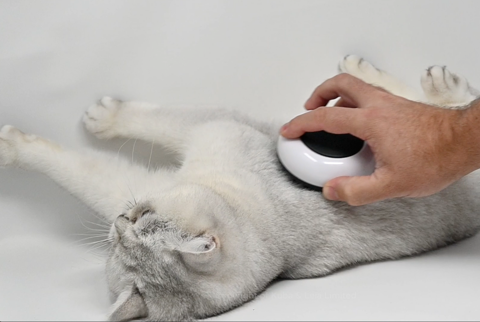 BrushPod world's first catnip infused cat brush
